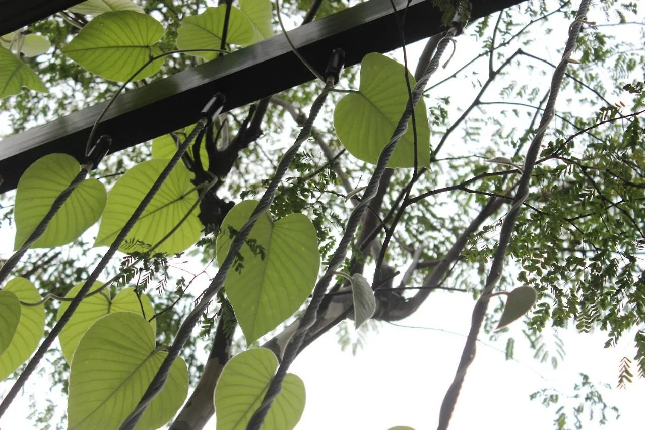 Casa vacanze The Owl Homestay Kuala Lumpur